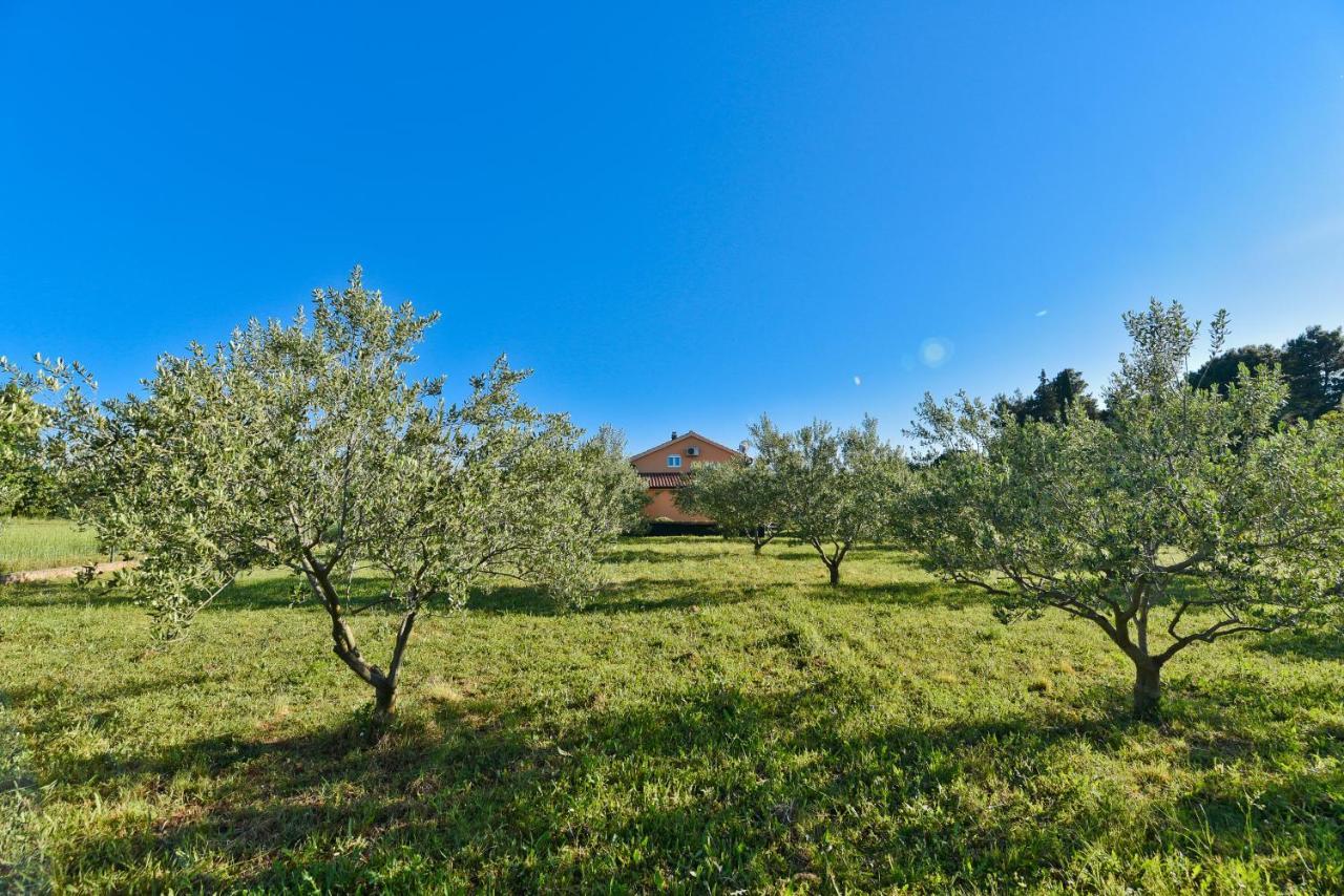 Holiday Home Taras Smilcic Ngoại thất bức ảnh