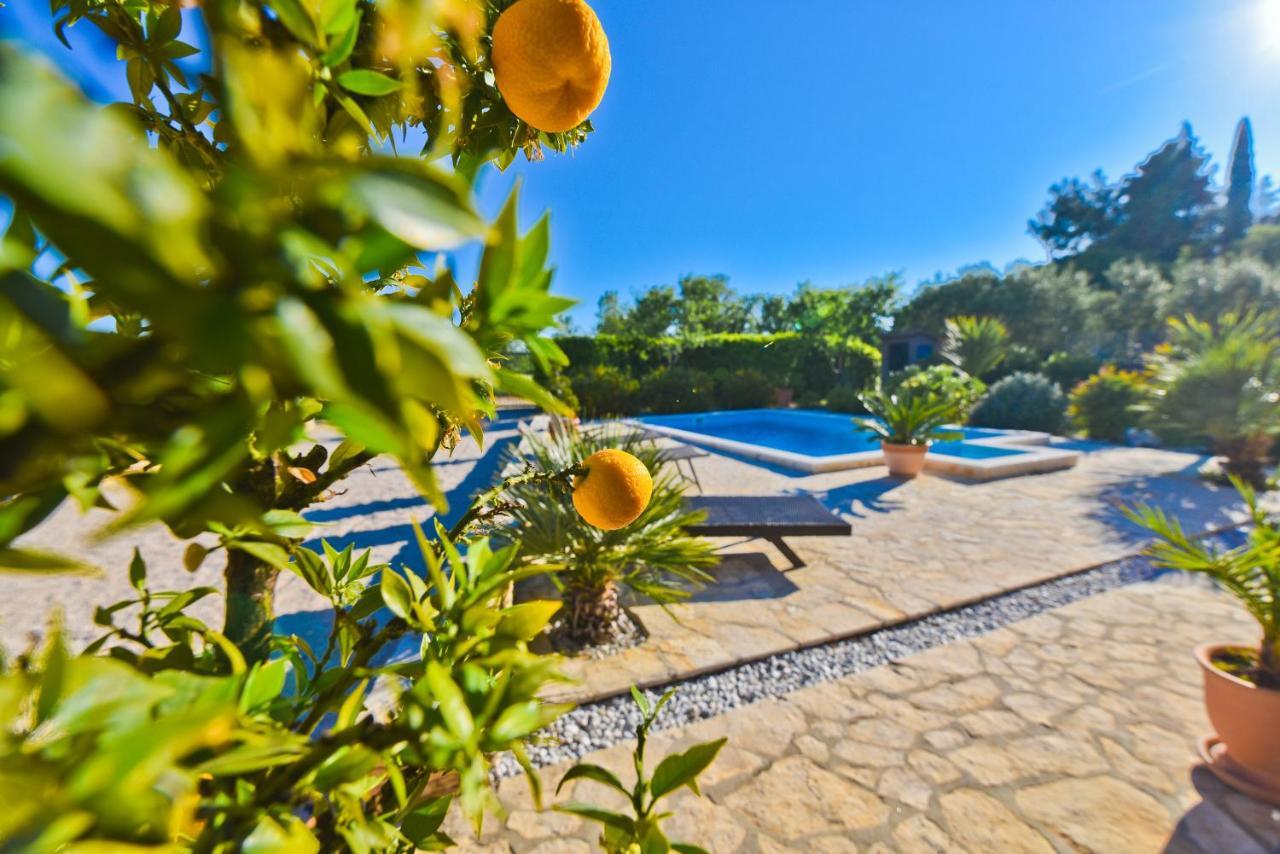 Holiday Home Taras Smilcic Ngoại thất bức ảnh